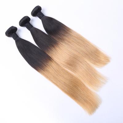 China 8-30 Inches Human Hair Extension Ombre Color Silky Straight Brazilian Hair Weft for sale