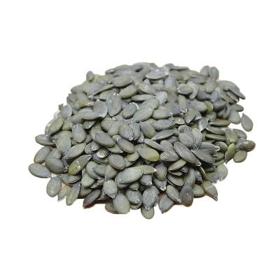China Pumpkin Seed Competitive Price Bulk Supply Gws Fresh High Quality Organic Pumpkin Seeds for sale