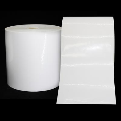 China Factory Supply PP PE PET Waterproof PVC BOPP Self Adhesive Label Jumbo Roll Matt Silver Transparent Oil Proof for sale
