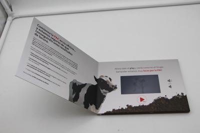 China A4, A5 HD 7inch screen video brochure / video card/ video player for advertising for sale