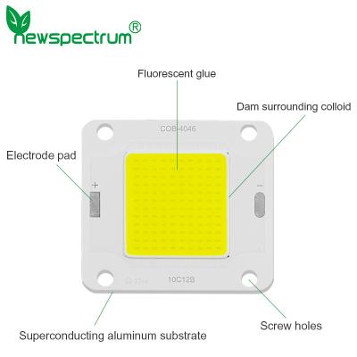 China A C.C. inverteu o diodo emissor de luz integrado do poder superior do módulo 20W 30W do diodo emissor de luz da ESPIGA à venda