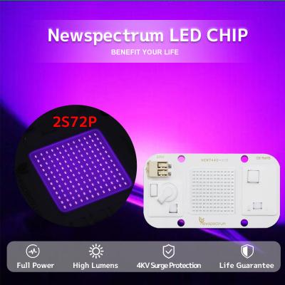 Cina Temperatura del colore UV materiale di alluminio del modulo 395nm del LED nell'industria medica in vendita