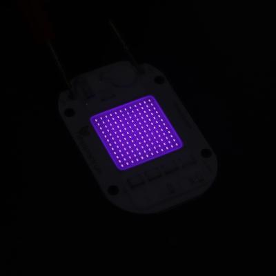 中国 低い電力の消費は導かれたモジュール3000k IP65の暖かく白い穂軸を導いた 販売のため