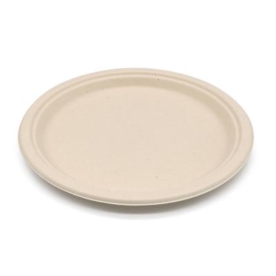 China Within 90 Days Good Reputation Biodegradable Compostable Custom Good Quality CAPA Best 10 Inch Disposable Dinner Plate Made Of Eco-friendly Paper Material for sale