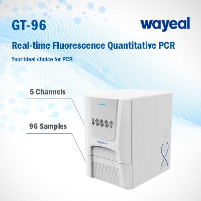 Cina Real Time Lab Fluorescence Quantitative PCR Analyzer For Nucleic Acid Test in vendita