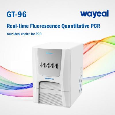 Cina Analizzatore in tempo reale medico clinico di PCR di Wayeal per prova di acidi nucleici in vendita