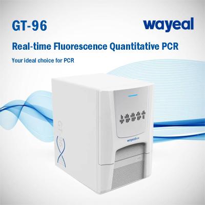 Cina Wayeal 96 scaturisce analizzatore di PCR di 5 canali per Gene Test in vendita