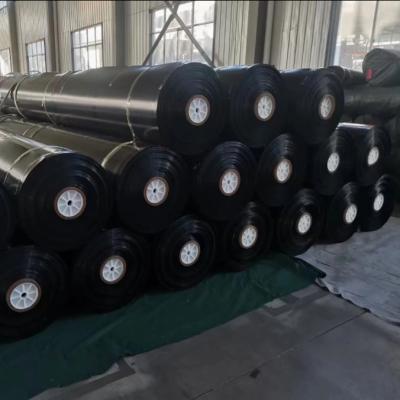 China Anti Seepage HDPE Geo Membrane High Density Polyethylene Film For Artificial Lake Fish Pond for sale
