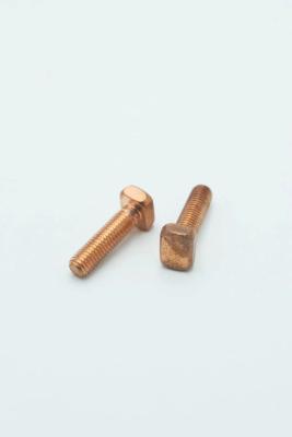 Cina La testa quadrata T ha modellato il peso materiale 17.59g dell'acciaio C1022 della vite M8x30mm in vendita