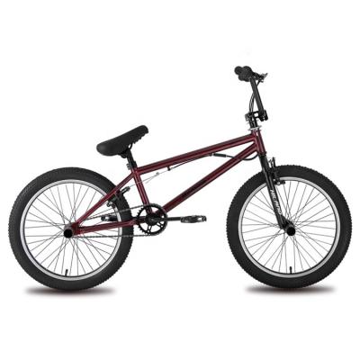 China BMX JOYKIE 20 inch racing bmx bike, off road 20