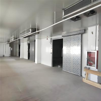 China 10-100m3 Sala de congelación Bitzer/Copeland/Tecumseh Compresor Condensador refrigerado por agua Paneles de acero inoxidable -18.C en venta