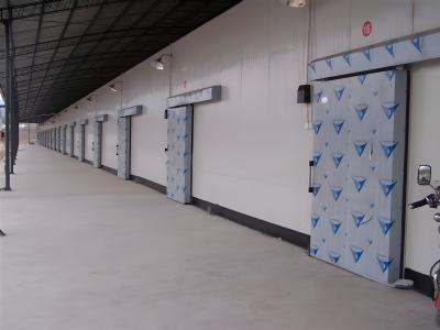 China Capacidad Color Sala de frío de acero con luz LED Rango de temperatura de -18.C a -25.C en venta