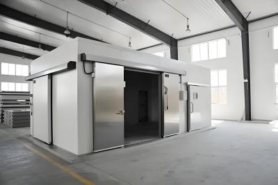China 10m3 a 1000m3 Capacidad de cámara de congelación con material de paneles de acero inoxidable duradero en venta