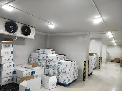 Chine Porte coulissante à très basse température chambre froide avec lumière LED à vendre