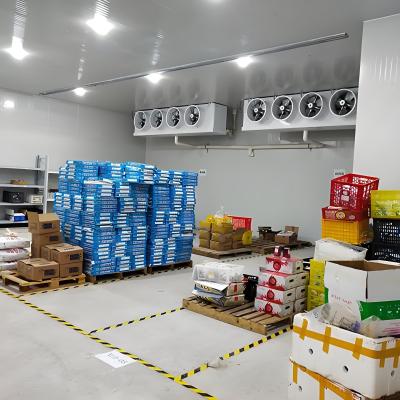 Chine 10-1000m3 personnalisé Ensemble complet d'équipement pour l'installation du congélateur à vendre