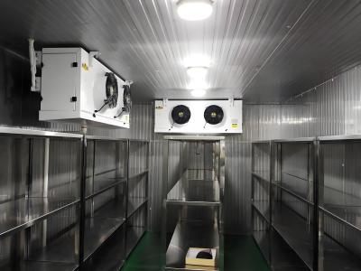 Chine Régulation de la température de la chambre de congélation à refroidissement par air / refroidissement par eau en acier inoxydable à vendre