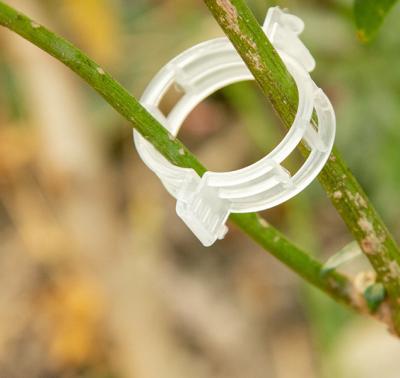 China High Strength Plant Support Garden Tomato Trellis Clips Durable Cultivation Staples Garden Trellis Staples for sale