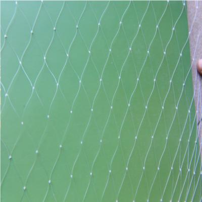 China Plant Protection Against Bird Green HDPE Quality Anti Bird Mesh Netting For Fruit for sale