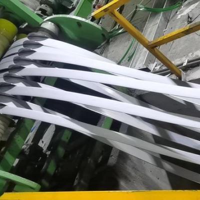 Chine L'acier inoxydable en métal d'AISI 304 6mm dépouille laminé à chaud à vendre