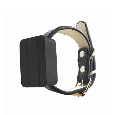 China Small Wireless Waterproof Rechargable 4G LTE FDD GPS Pet Tracking Device for sale