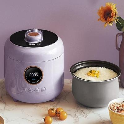 China Hotel One Touch Start Multifunctional Programmable Slow Cooker Electric Pressure Cooker for sale