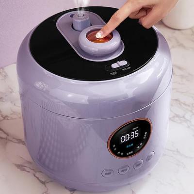 China Hotel household kitchen appliance multi-function electric pressure cookers for household and commercial for sale