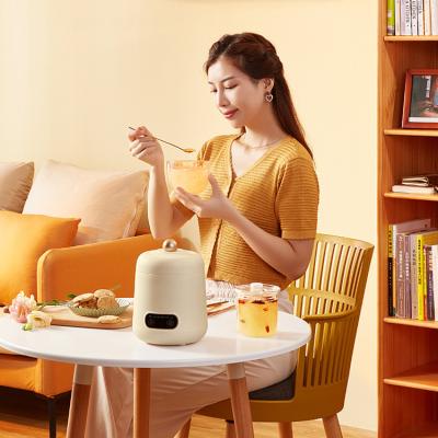 China Hotel Electric Stew Health Pot , Automatic Smart Small Appointment Multifunction Slow Cooker for sale