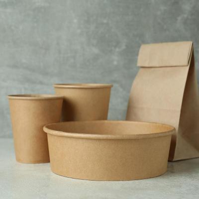 China Eco-Friendly Biodegradable Noodle Paper Food Grade Salad Bowl Disposable Packaging Leakproof Disposable Bowl for sale