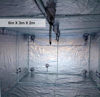 China Easily Assembled Large Size Promotional Hydroponic Grow Tent Green House 6mx3mx2m for sale