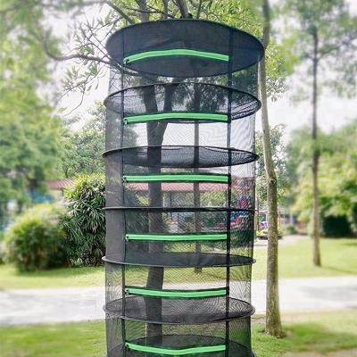 China 8 Layers Easily Assembled Herb Drying Net Herb Dryer Mesh Black and Green Zippers for sale
