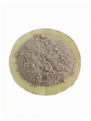 China Advanced Microbial Bacteria For Waste Water Treatment for sale