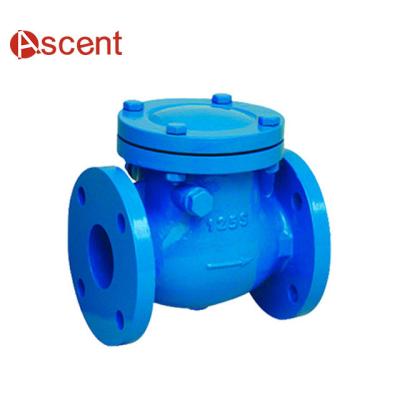 China General Malleable Resilient Sealing Type Cast Iron Water Check Valve Swing Check Valve for sale