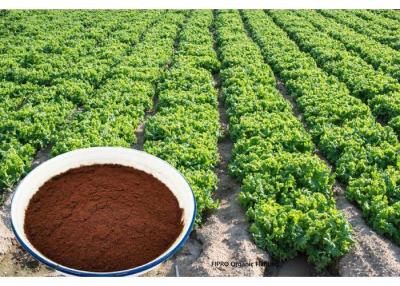 China Polvo enzimático del fertilizante natural de la planta del aminoácido de la hidrólisis de la basura el 100% de la agricultura en venta