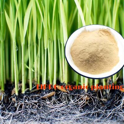 Chine L'engrais organique d'azote de farine de soja a hydrolysé la poudre ISO9001 de protéine de soja à vendre