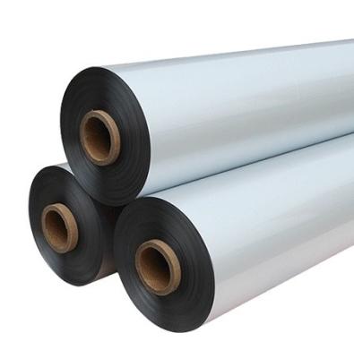 China Ahorro de espacio Película pet soluble en agua para soluciones de embalaje transparentes y metalizadas en venta