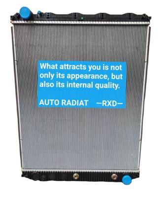 China Truck Aluminum AUTO Radiator Aluminum Radiator 209565521 for sale