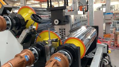 China Vacío del ANIMAL DOMÉSTICO que forma la línea de la protuberancia de la hoja para Thermoforming que imprime el paquete en venta