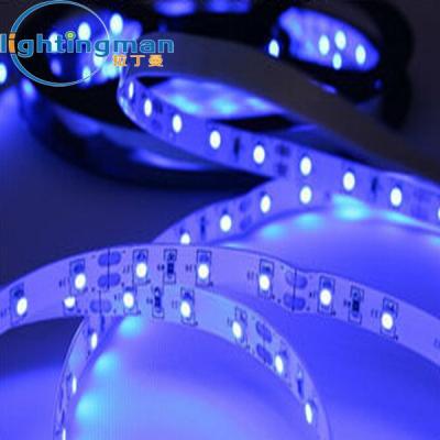 China 5M/Roll Residential 12V Waterproof 380-385nm 3528 Black 300 LED UV Light Led Flexible UV-C Light for sale