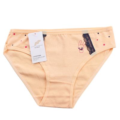 China High Quality Antibacterial Cotton Fashion Cartoon Digital Printing Underwear Kids Girls Cute Panties for sale