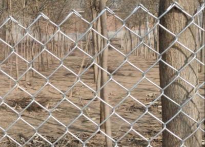 China 6 Ft X 50 Ft 4.8mm Galvanized Chain Link Fence Diamond Hole à venda
