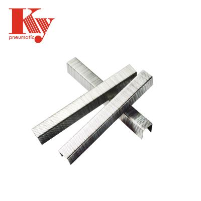 China Staples Galvanized Flat Pin Sofa Staple 8004 for sale