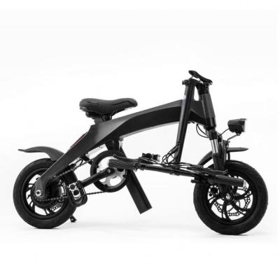 China US Standard Free Shipping 48V Mountain Bike Electric Bicycle for sale