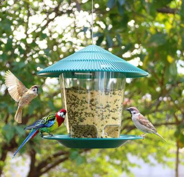 China New Stain Garden Park Viable Outdoor Lanyard Rain Proof Plastic Large Capacity Water Feeder Bird Feeder for sale