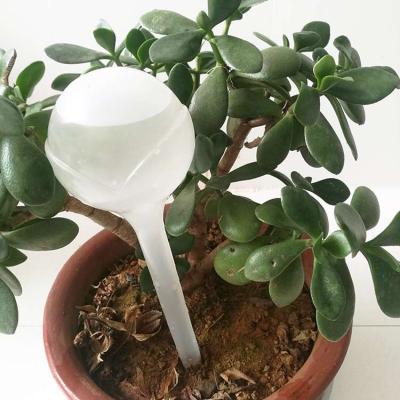 China Garden household automatic white flower sprayer 8.5x25cm for sale