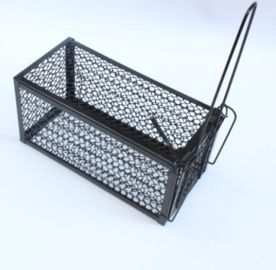 China Disposable Mouse Cage Clamshell Mousetrap Clamshell Mousetrap Mousetrap Massacre Rodent Catch Household Sticky for sale