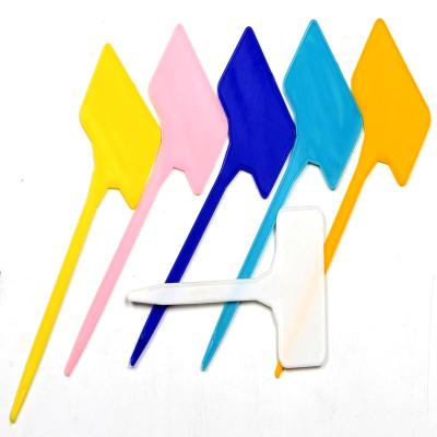 China Convenient Plastic Marker Plastic Garden T Shape Succulents Flower Nursery Sapling Decorative Labels for sale
