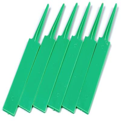 China Convenient Wholesale Growing Garden Plant Plant Recording Plastic Decorative Label for sale