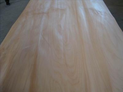 China Rotary Cut Agathis Veneer Sheets For Cabinets , 4’x 8’ Size for sale