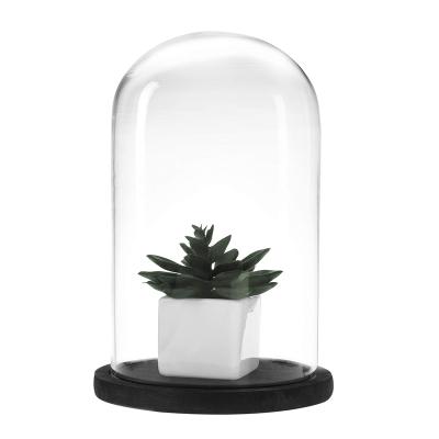 China Modern Decorative Round Glass Dome Cloche Bell Clear Glass Display Case with Black Rustic Wood Base for sale