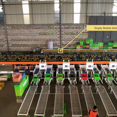 China Customizable 12 Tons Large Capacity Orange Sorting Machine With Up To 50 Discharge Ports Te koop